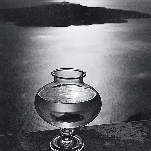 Schwarz-weiße Aufnahme eines Fisches in einem Glas, im Hintergrund sind das Meer und eine Insel zu sehen.